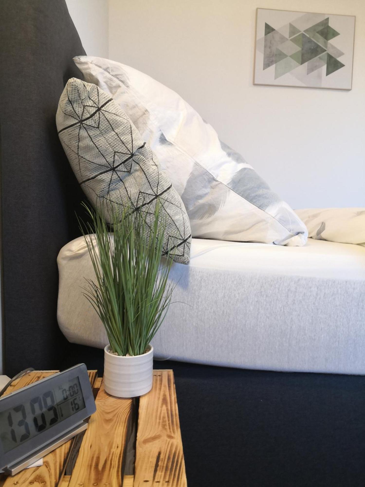 Exklusives Apartment Zw. Lu Und Speyer Mit Aufzug Neuhofen 外观 照片