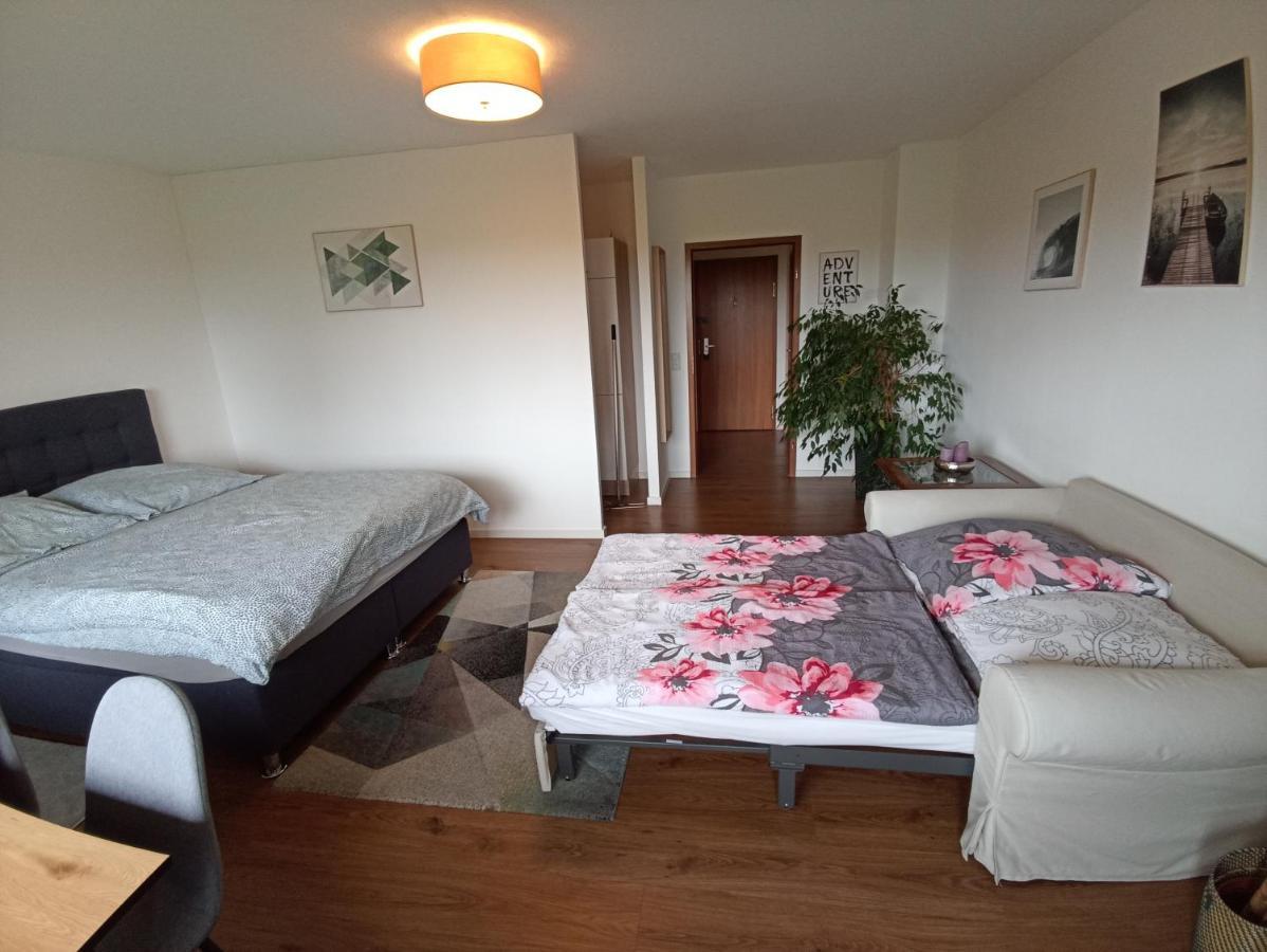 Exklusives Apartment Zw. Lu Und Speyer Mit Aufzug Neuhofen 外观 照片